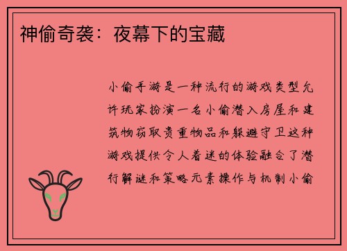 神偷奇袭：夜幕下的宝藏